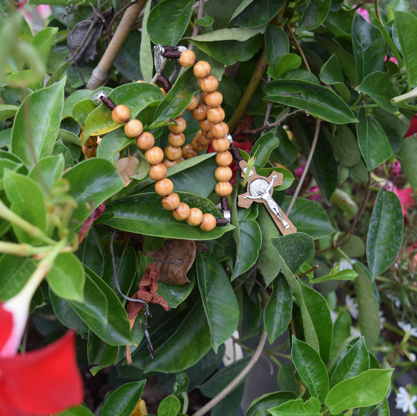 The Ashwood Rosary